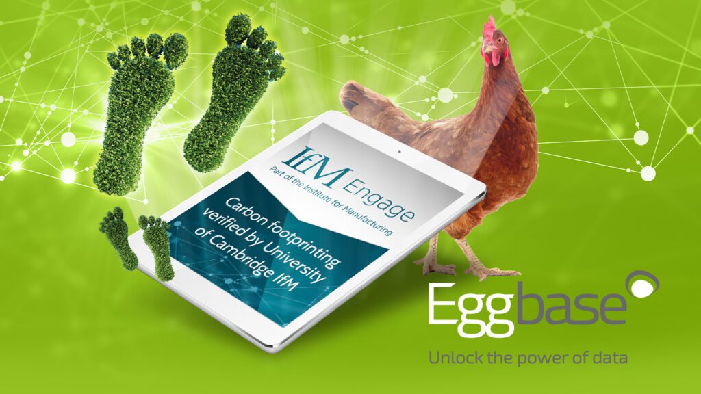 Eggbase