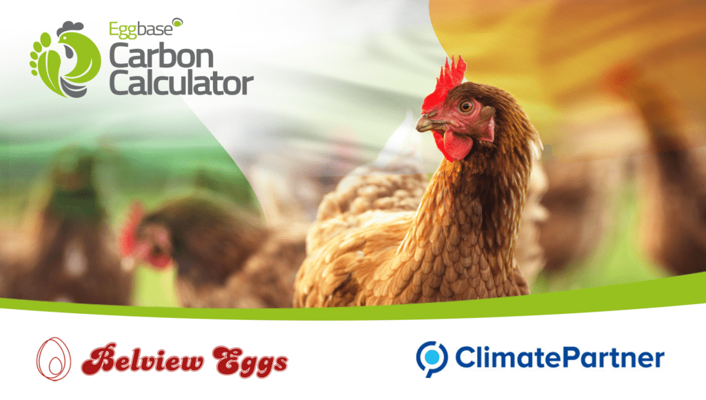 Belview Eggs ClimatePartner